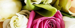 Send Flowers
